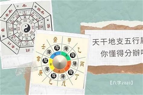 五行欠金水|你知道你的五行缺什么吗？（附补五行方法）